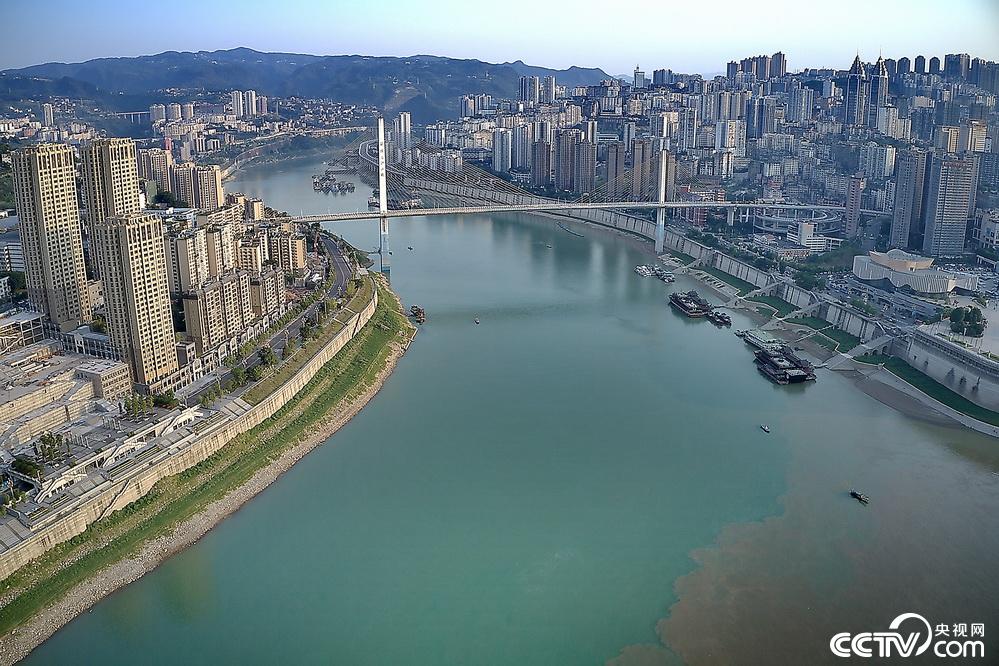 重庆两江交汇现"鸳鸯锅"景观_中国青年网