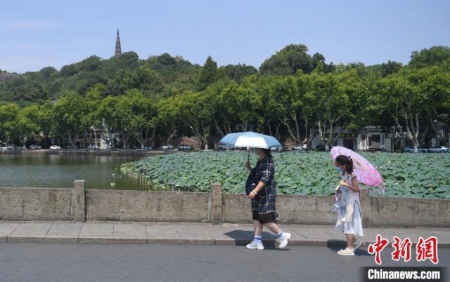 图为：游客撑伞游西湖。　王刚 摄