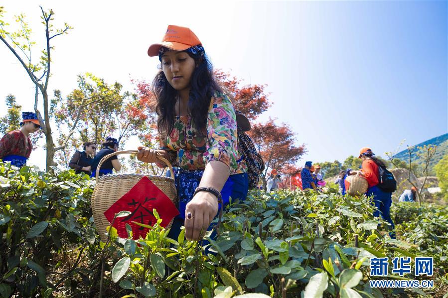 江西九江：留学生体验茶文化