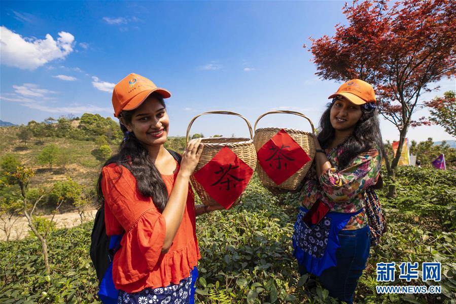 江西九江：留学生体验茶文化