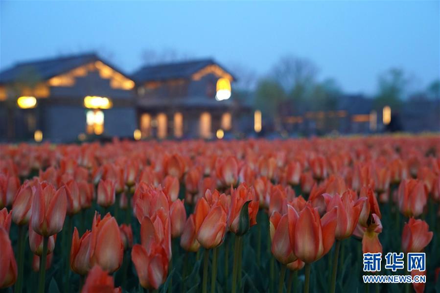 2019年中国北京世界园艺博览会开园