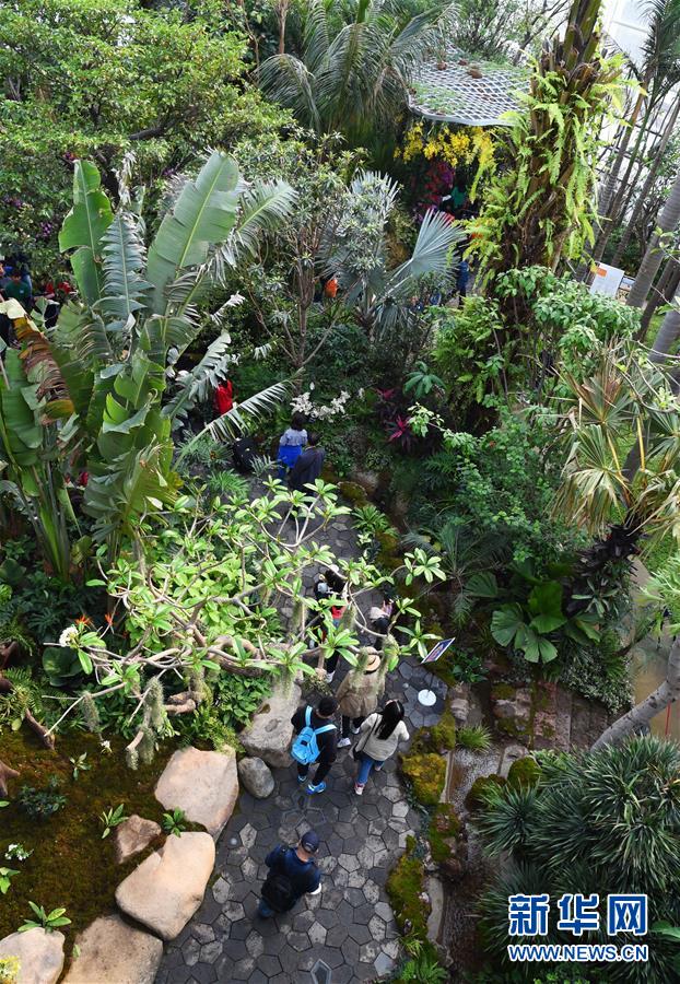 2019年中国北京世界园艺博览会开园