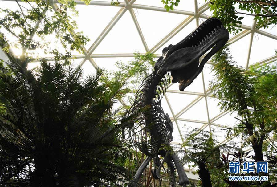 2019年中国北京世界园艺博览会开园