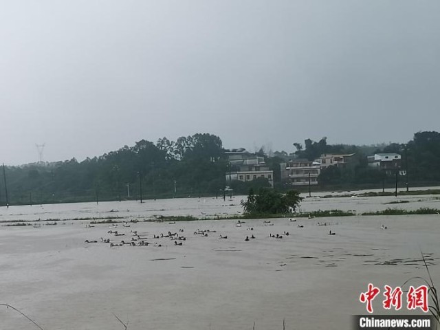 广西防城港遭遇强降雨村庄内涝民居被浸泡