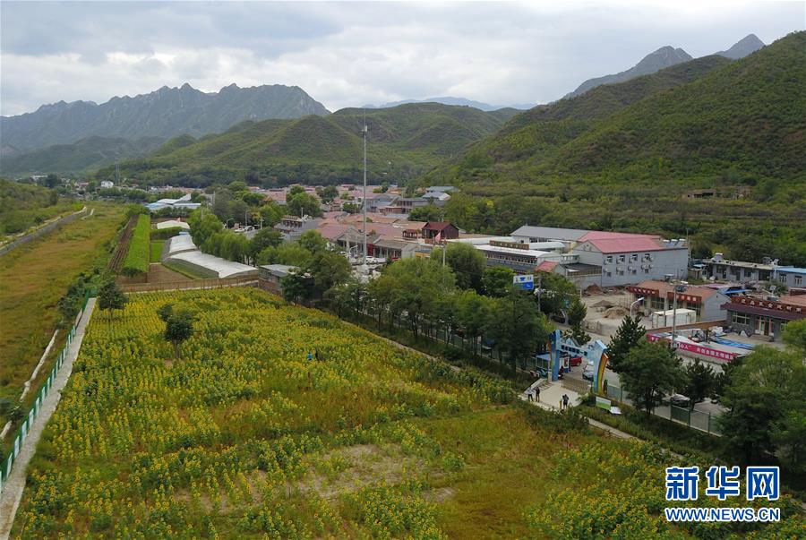 这是9月10日拍摄的北京市门头沟区清水镇下清水村(无人机拍摄).