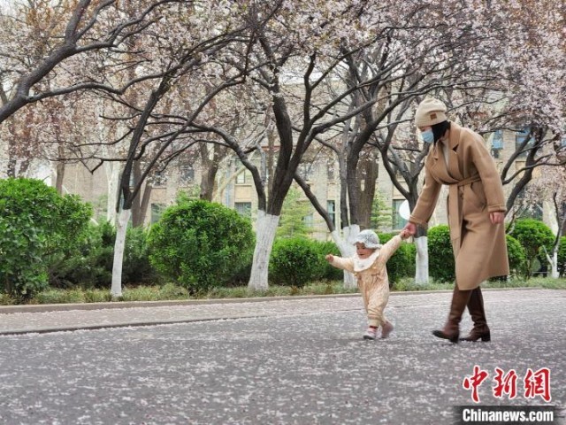 大人牵着孩子的手，漫步“繁花大道”，感受春天气息。　赵晓 摄