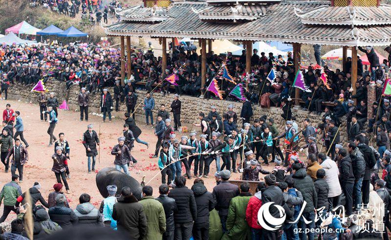 贵州从江斗牛迎新春