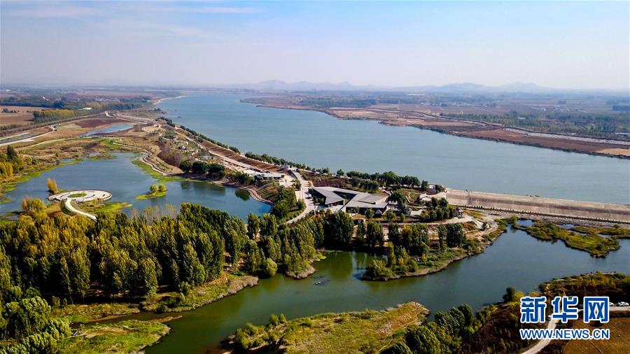山东东平:"运河之心"生态美