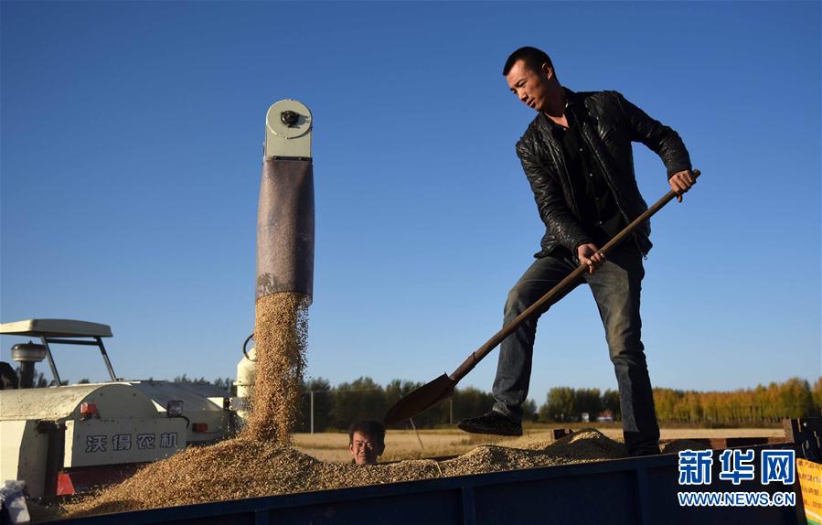 坚守岗位迎盛会 坚定信心向未来——来自基层蹲点现场的报道