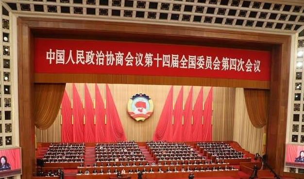 政协委员大会发言 积极建言献策.jpg