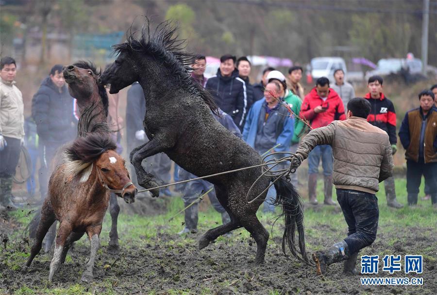 苗族自治县安太乡"十三坡",摄影师们在木楼里拍摄活动现场(2月17日摄)