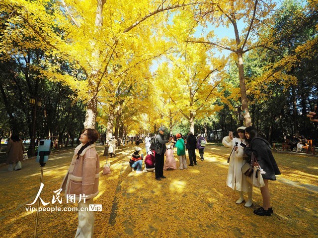 北京：地坛公园秋色浓【4】