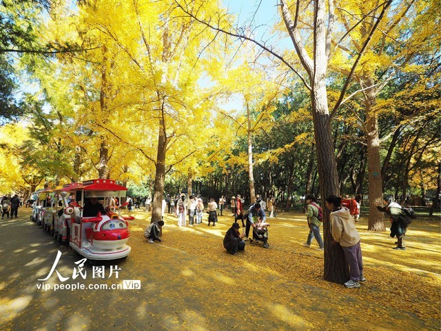 北京：地坛公园秋色浓【5】