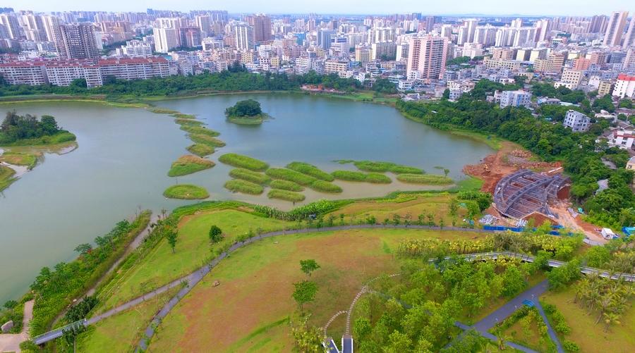 【新时代·幸福美丽新边疆】海口美舍河凤翔湿地公园：把“梯田”搬到市民家门口