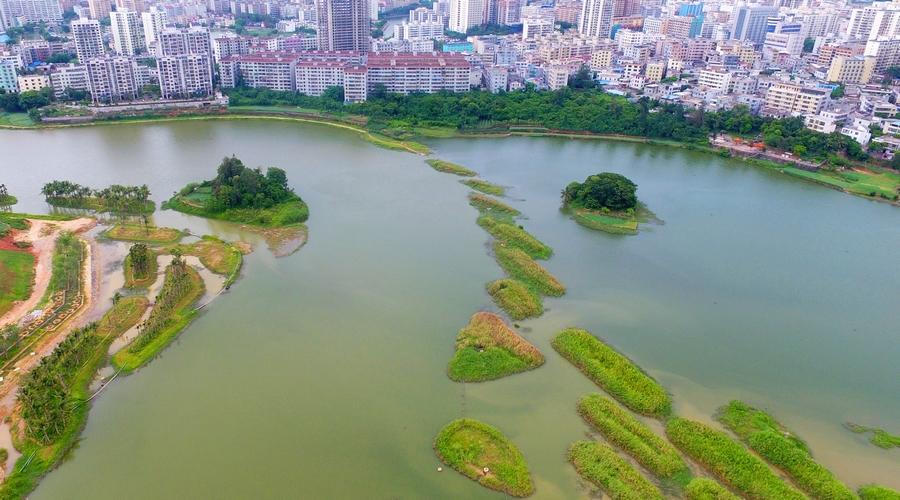 【新时代·幸福美丽新边疆】海口美舍河凤翔湿地公园：把“梯田”搬到市民家门口