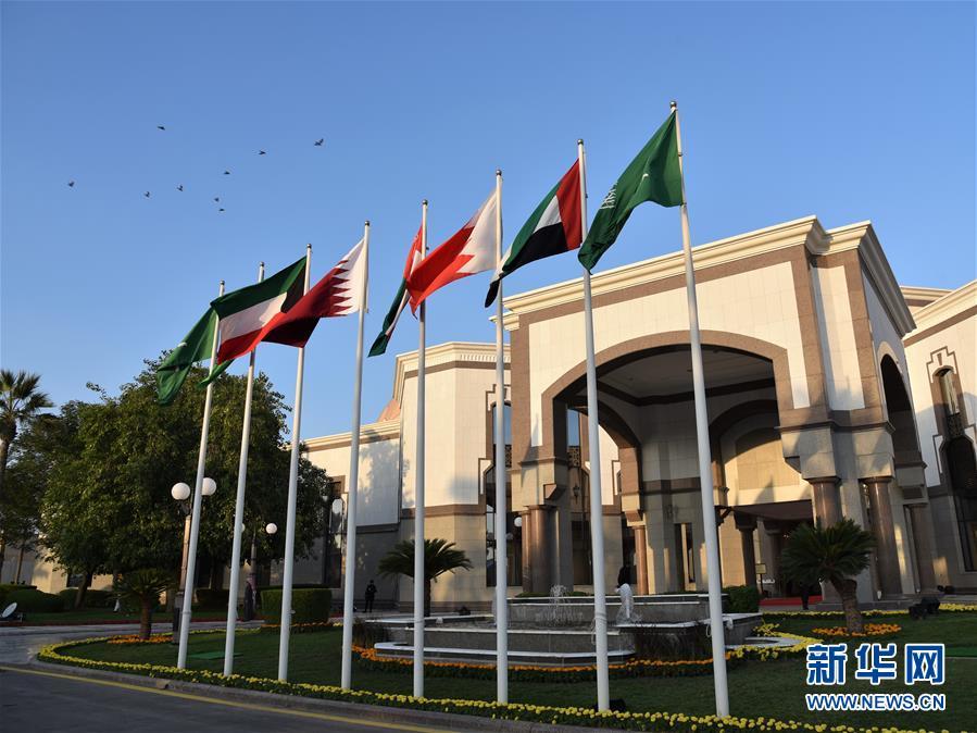 海合会国家表示致力于维护该组织运转
