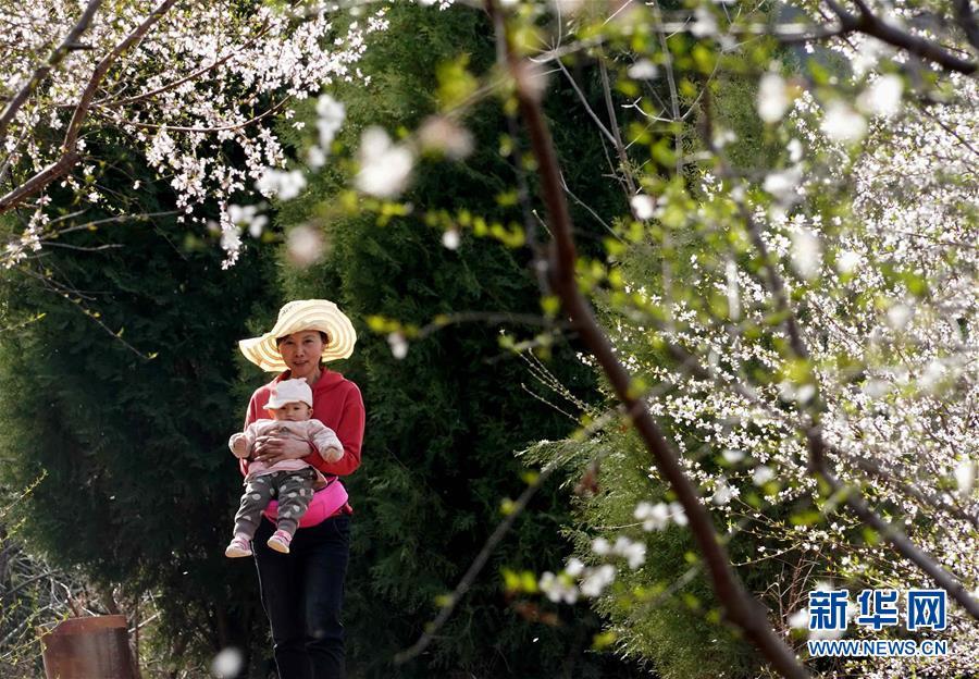 春日寻芳 多彩山乡