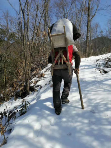 五峰县长乐坪镇村民脚踩积雪将蔬菜送往装车点.