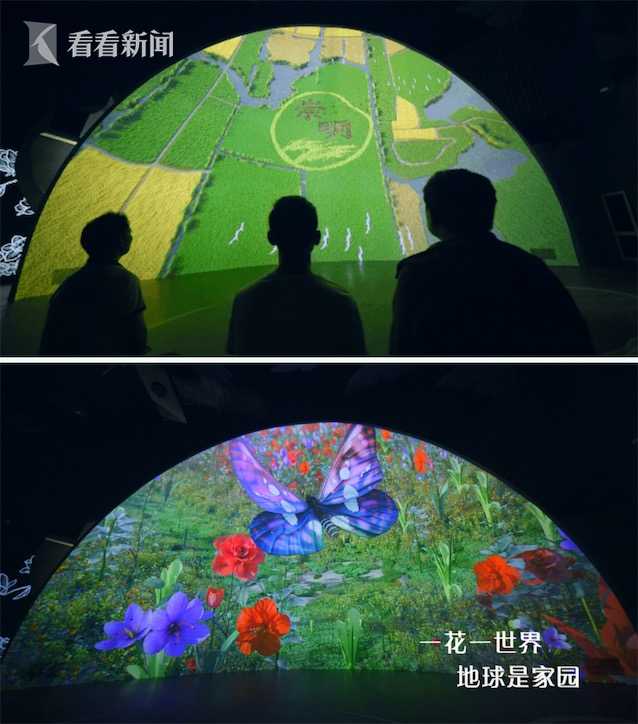 花开中国梦 沉浸式体验不一样的花博盛会 中国青年网 花开中国梦 沉浸式体验不一样的花博盛会 中国青年网