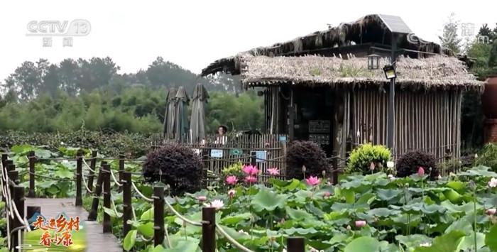从贫困村到 文化兴村 来看看四川成都明月村的变化 中国青年网