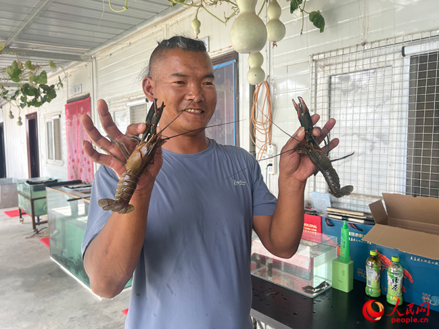 基地负责人向记者展示龙虾。人民网记者 常雪梅摄