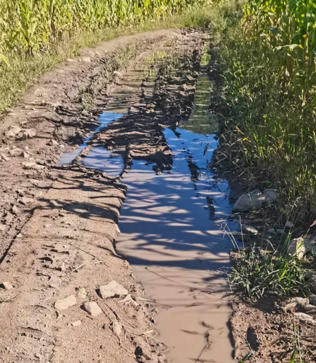 维修之前的路面。受访者供图