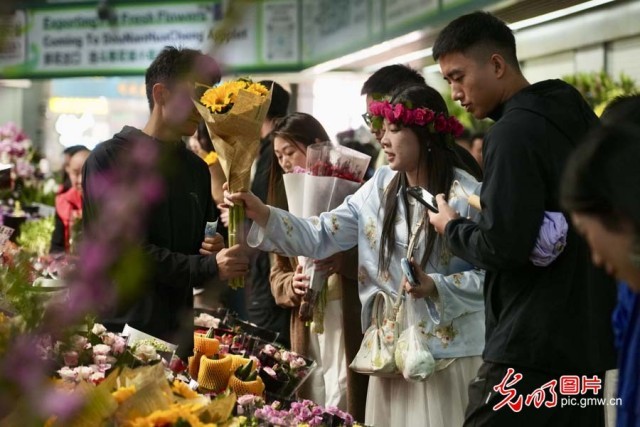 【发现最美铁路】“钢铁花路”护航云花绽放 日均4.5吨鲜切花乘“快车”香溢全球