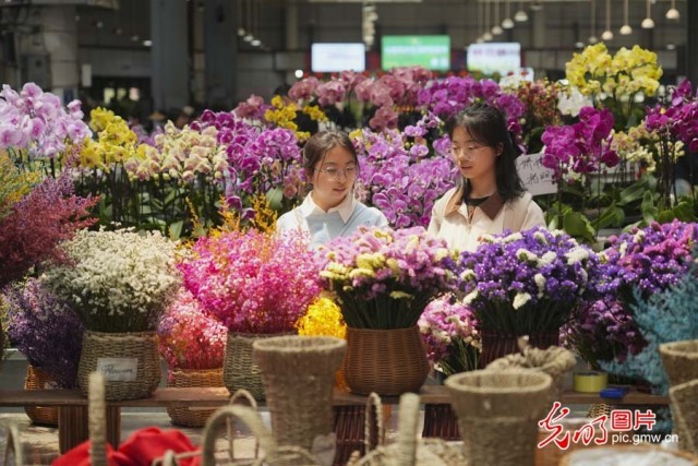 【发现最美铁路】“钢铁花路”护航云花绽放 日均4.5吨鲜切花乘“快车”香溢全球
