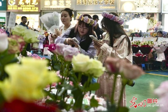【发现最美铁路】“钢铁花路”护航云花绽放 日均4.5吨鲜切花乘“快车”香溢全球