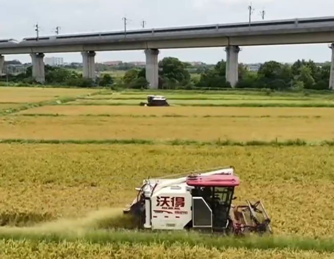 QQ20250718-162439.png