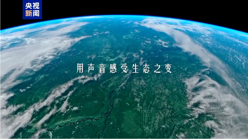 1755330290409.jpg