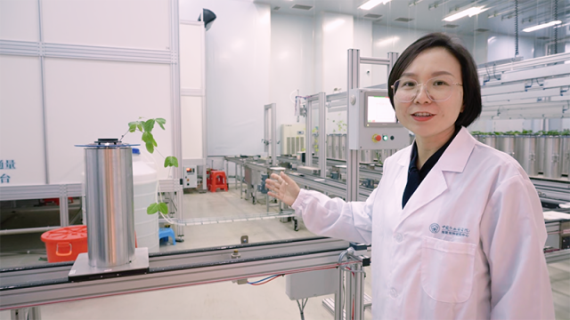 新春走基层｜这里的作物，正在做“CT”