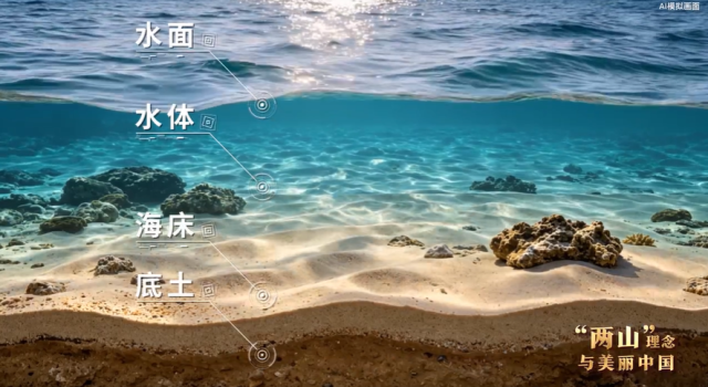 “两山”理念与美丽中国丨向海要空间 立体耕耘激活蓝色经济