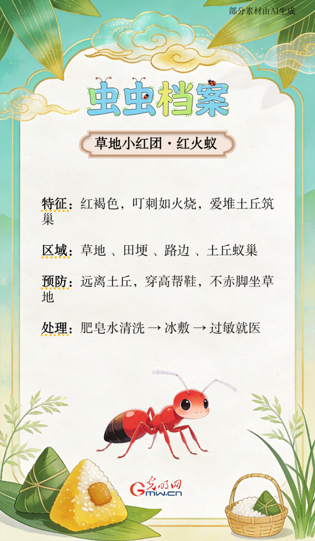 端午出游,这份防虫指南请收好
