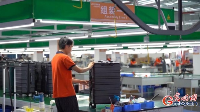 【红星照耀中国】小小箱包大能量!县域轻工闯出智造出海路