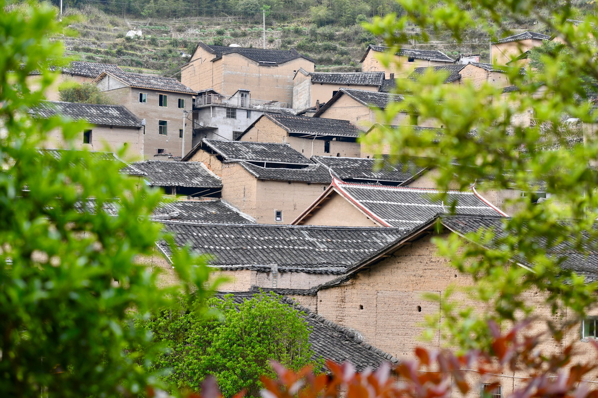 福建周宁:古村落保护助力乡村振兴