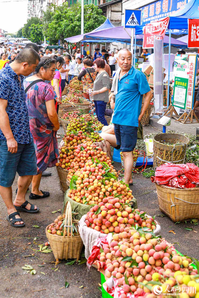 合江县马街荔枝交易市场上人来人往，荔枝交易红火。李贵平摄